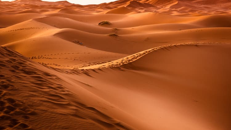 Desert